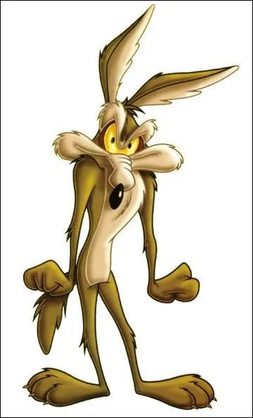 Et canid qui s'use  vouloir le capturer ...