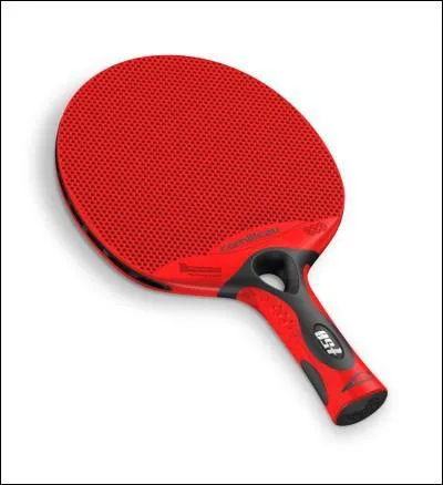 Dans quel sport pourrait-on jouer avec cette raquette ?