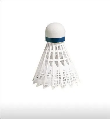  quel sport appartient ce volant ?