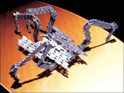 Quelle est l'espce de cette chose ?