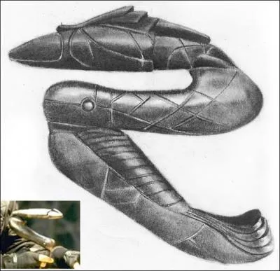 Quel est le nom de cette arme ?