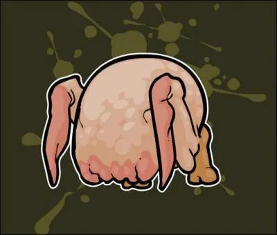 Quel est cet animal ?