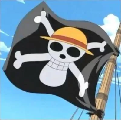 A qui est ce drapeau ?