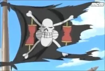 A qui appartient ce drapeau ?