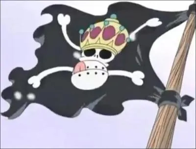 A qui appartient ce drapeau ?