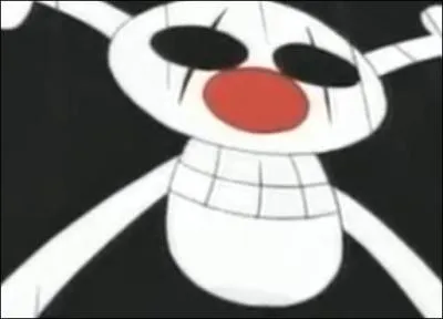 A qui appartient ce drapeau ?