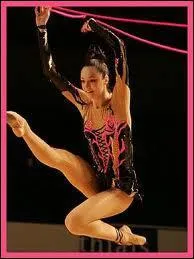 Quel est l'engin sur cette photo ?