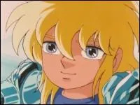 De quelle constellation est ce chevalier ?