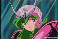 De quelle constellation est ce chevalier ?