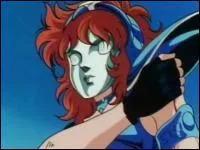 De quelle constellation est ce chevalier ?