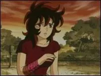 De quelle constellation est ce chevalier ?