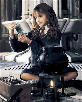 Dans 'Harry Potter et la Chambre des Secrets', que dit Hermione quand elle voit Harry et Hagrid sur le Chemin de Traverse ?