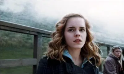 Dans 'Harry Potter et le Prince de Sang-ml', que dit Hermione  Harry pour se dfendre d'avoir lanc un sort de Confusion  Cormac McLaggen lors des essais de Quidditch ?