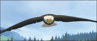 A quel autre animal Spirit est-il attach ?