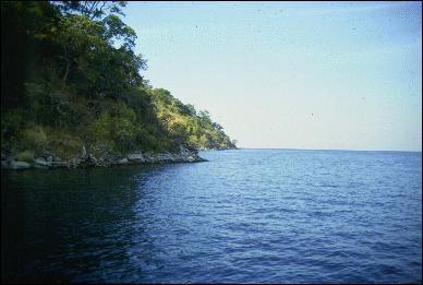 Le lac Tanganyika a une superficie quivalente  celle de la Belgique. Il est rput pour tre le lac le plus poissonneux au monde. Il baigne 4 pays : la RD du Congo, la Tanzanie, la Zambie et :