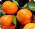 Quel est ce fruit orange ?