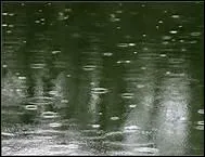 Il pleure dans mon coeur, comme il pleut sur la ville...