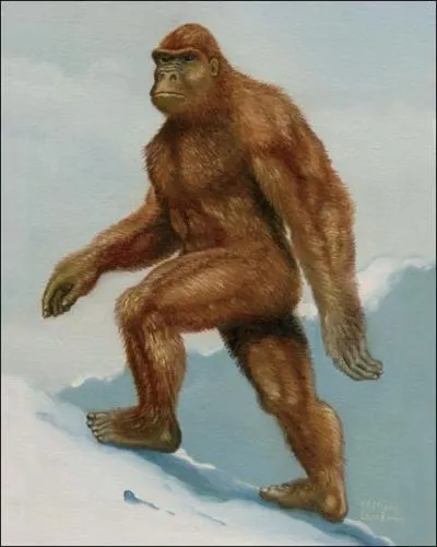 Comment s'appelle ce monstre des neiges ?