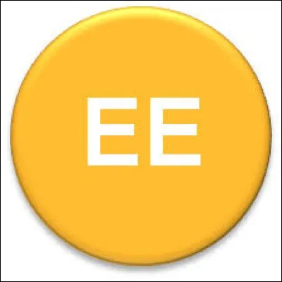 Des noms féminins aussi peuvent finir par -ÉE mais sûrement pas...