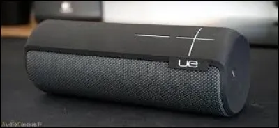 Cherchez l'intrus parmi ces noms féminins en -UE.