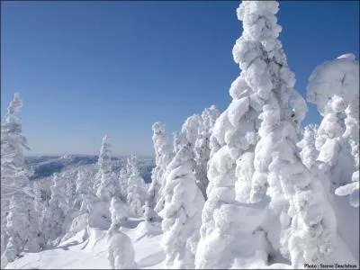 'Etre blanc comme neige' signifie :