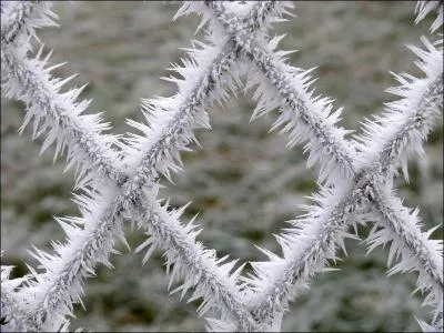 'Etre givr' veut dire :