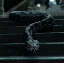 Comment s'appelle le serpent qui est un horcruxe ?