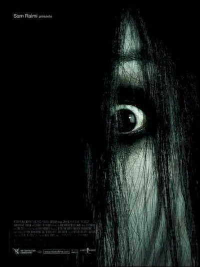 Quel est le titre de ce film ?