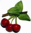 Quiz Fruits