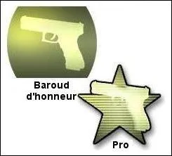 Laquelle de ces armes ne peut pas tre utilise en Baroud d'honneur dans MW2 ?