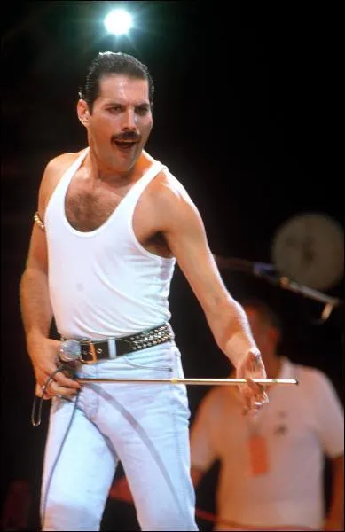 Comment s'appelle le premier et meilleur chanteur de Queen, qui nous a quitt  cause du sida ?