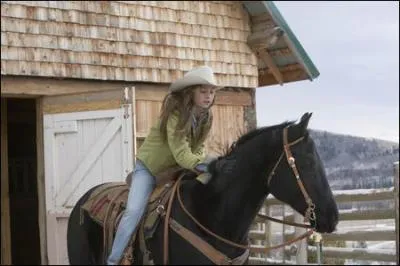 Comment s'appelle le cheval du personnage principal ?