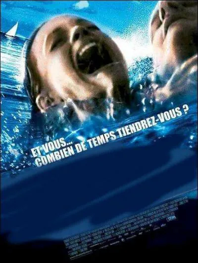 Quel est le titre de ce film ?
