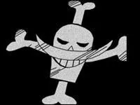 A qui est ce drapeau ?