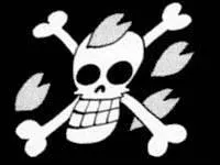 A qui est ce drapeau ?