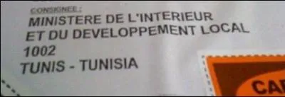 Peu de temps avant la chute de Ben Ali, le ministre de l'Intrieur tunisien a command  un groupe priv franais :