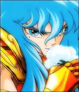 De quelle constellation est ce chevalier ?