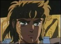 De quelle constellation est ce chevalier ?