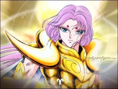 De quelle constellation est ce chevalier ?