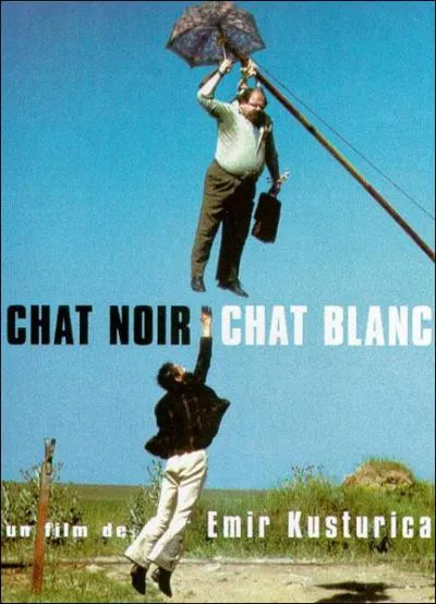 Chat noir, chat blanc