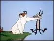 Comment s'appelle le cousin de Vil Coyote, ici aux cots de Sam le chien de berger?
