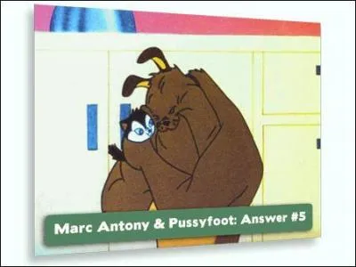 Quel est le chat qui essaie dsesprement de capturer Pussyfoot, mais qui n'y arrive pas car Marc-Antoine la protge?