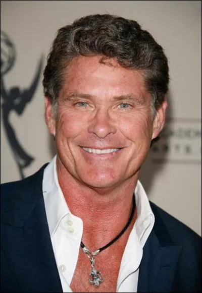 David Hasselhoff - Dans quelle srie a-t-il interprt le docteur Snapper Foster pendant 6 ans ?