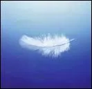 J'ai peint Le mdaillon bleu, je ne suis pas lourd, donc je suis :