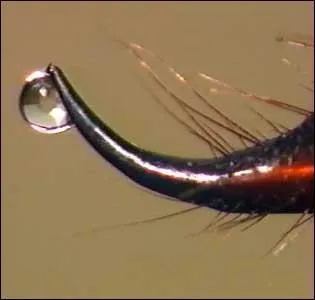 Le Scorpion peut jener :