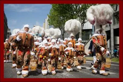 Je suis au carnaval de :