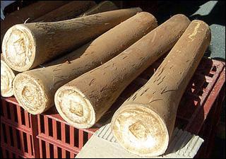 Quel est le nom de cette varit de chou ?