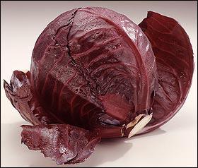 Quel est le nom de cette varit de chou ?