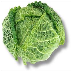 Quel est le nom de cette varit de chou ?