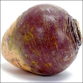 Quel est le nom de cette varit de chou ?